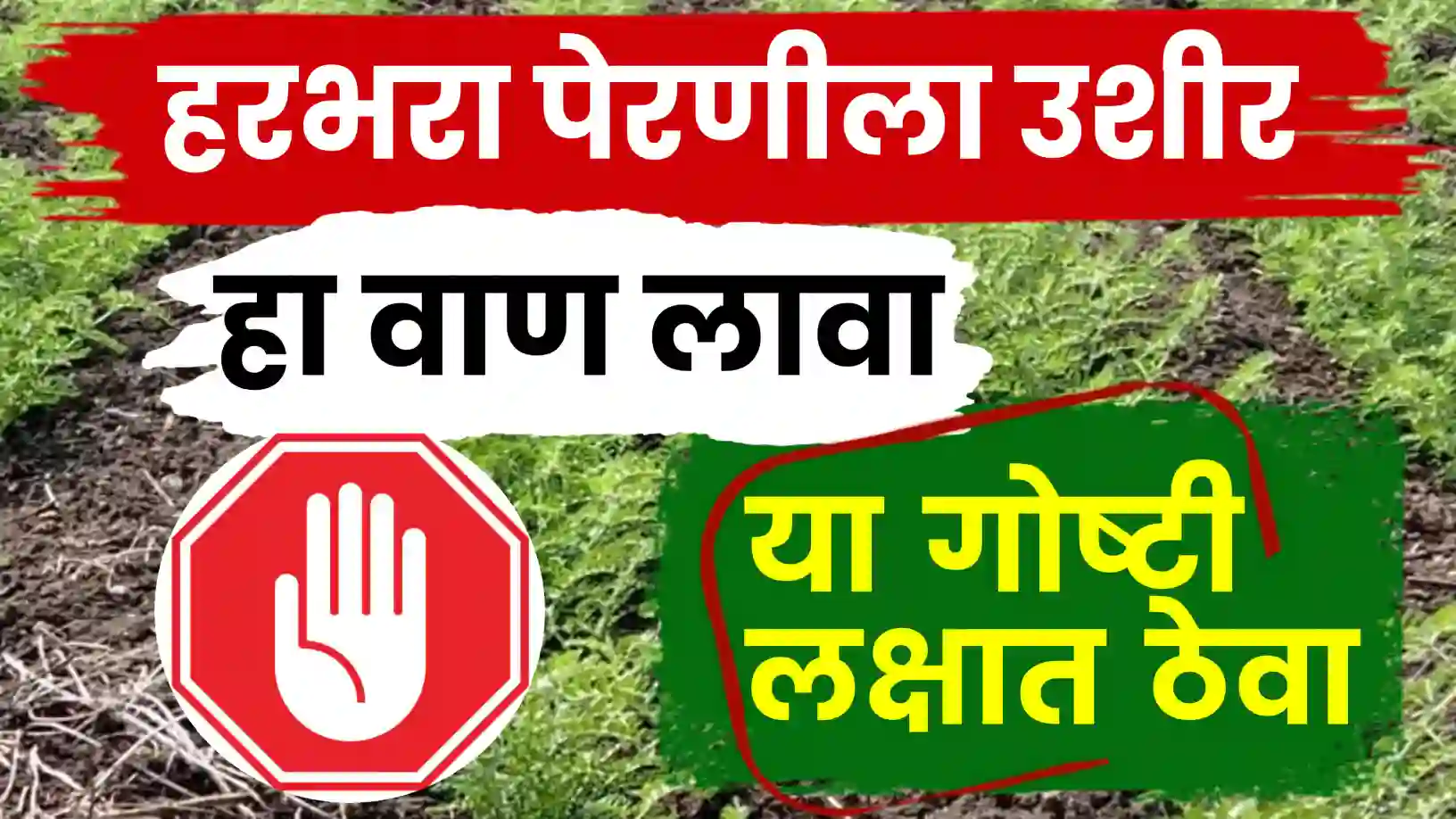 हरभरा पेरणीला उशीर झालाय