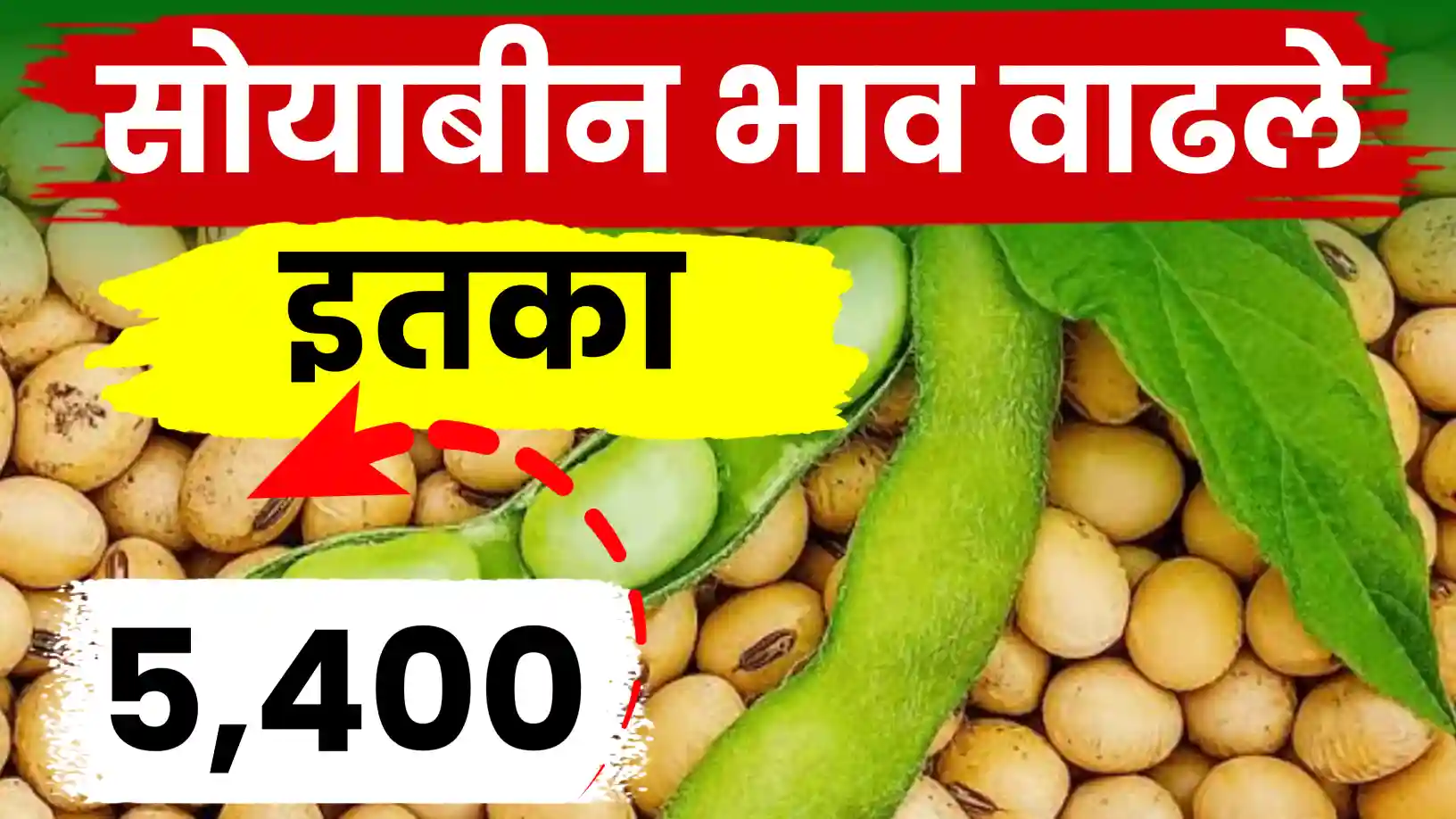 सोयाबीन बाजारात 'बिजवाई'चा विक्रम